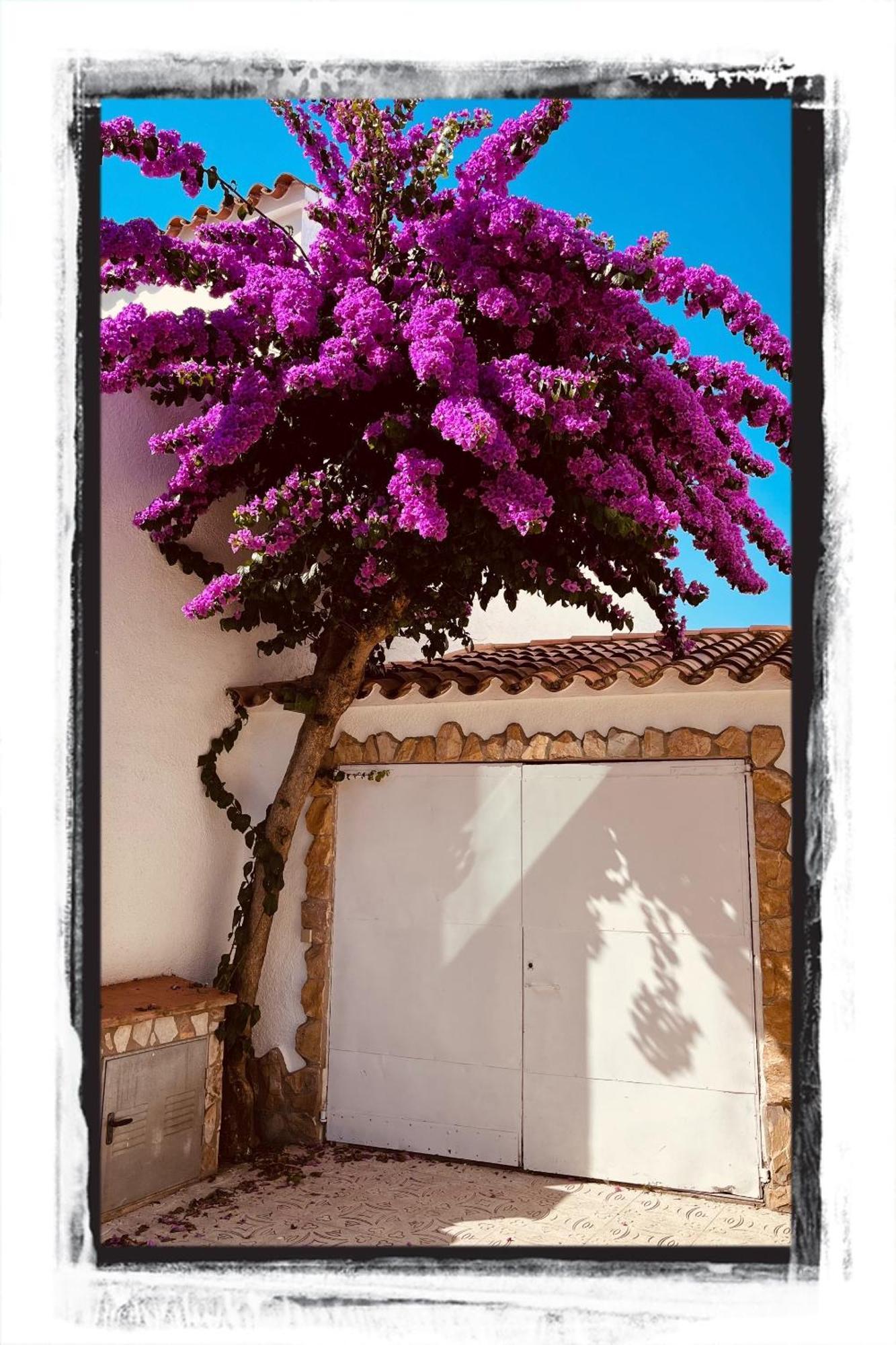 Casa Serenity Au Canal Avec Piscine Et Amarre * Empuriabrava